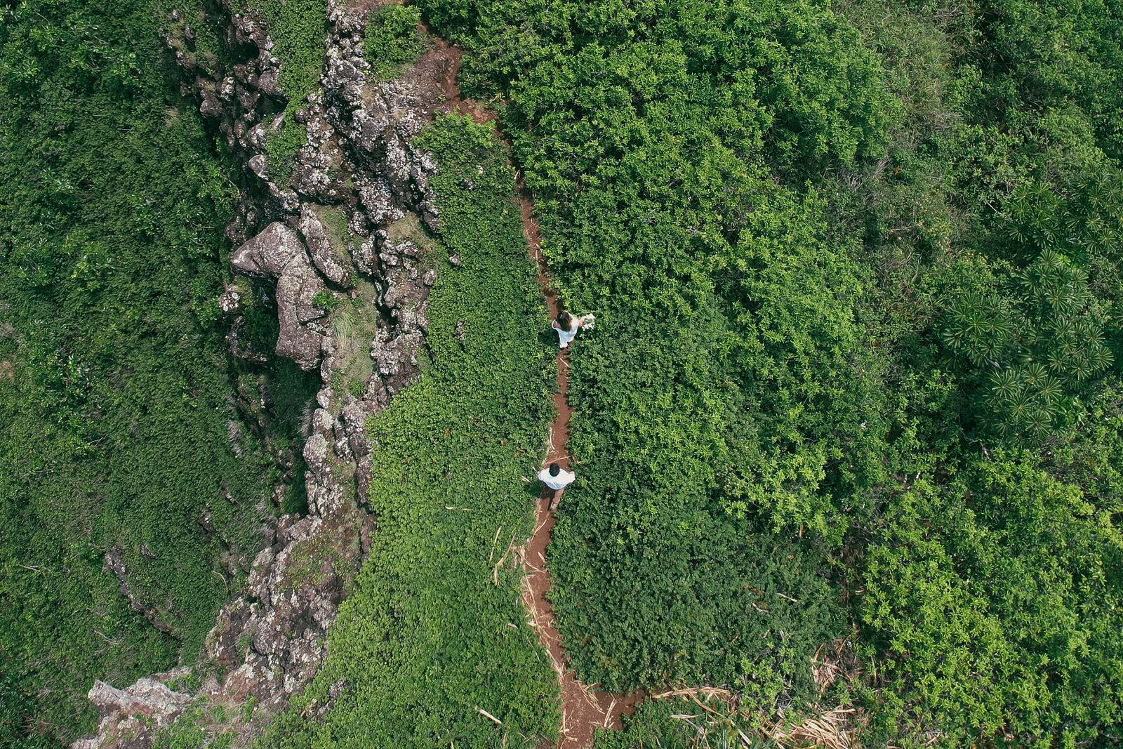 Drone shot of bride and groom on top of a mountain during their elopement in Hawaii.